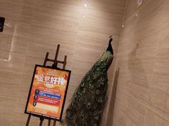 -中华郡温泉