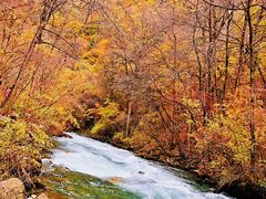 -叠溪松坪沟景区