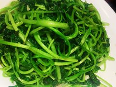 清炒鸡毛菜-京城小江南·北京烤鸭·江南土菜·白鱼(中关村店)