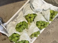 -马陆小张葡萄园农家乐