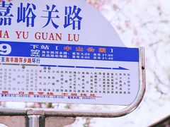 -八大关景区