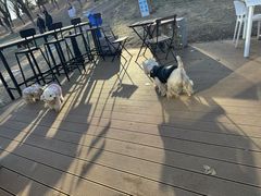 -小意思咖啡店(草桥店)