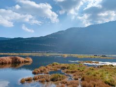 -腾冲北海湿地