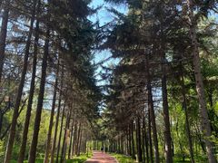 -长春市南湖公园