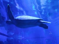 -成都浩海立方海洋公园