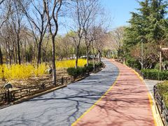 -大兴滨河森林公园