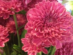 iphone_upload_pic-康斐斯健身