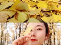 -百林公园-两江幸福广场