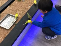 -未来动物城主题公园(正弘城店)