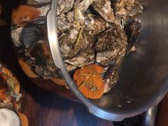 -土蚝·高压锅生蚝(百姓美食街店)