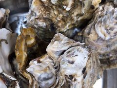 -宾朋海鲜特色美食餐厅·纯手工鲅鱼水饺(兴海路店)