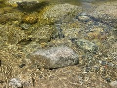 -青峰峡国家森林公园