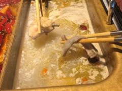 猪肚鸡原汤锅-尚尚仙·酸汤猪手·猪肚鸡火锅(华联万柳购物中心店)