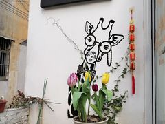 -树咖啡tree coffee