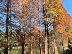 -华南国家植物园-售票处