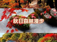 -丹东天桥沟景区