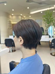 -GANO HAIR 