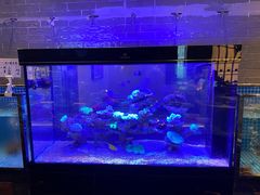 -百富源·海鲜辽菜(浑河堡店)