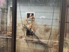 -昆明动物园