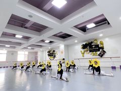 -西安小天鹅艺术团(金花路校区)