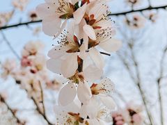 -大瓦窑(地铁站)