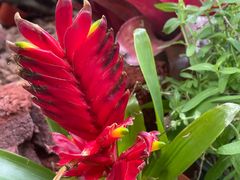 -徐家汇源景区-衡山公园