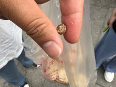 -津门永胜包子铺(哈尔滨道总店)