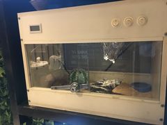 -打趸BTC·Breaktime cafe(北京路店)