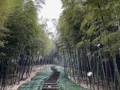 -良渚古城遗址公园