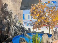 -耕海蟹将军(万象城店)
