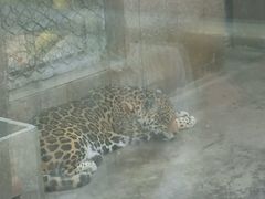 -西安秦岭野生动物园