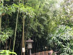 -广州兰圃