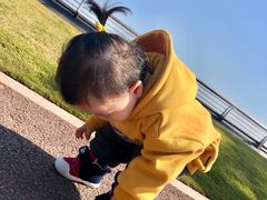 -野狸岛