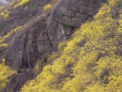 -泰山花样年华景区