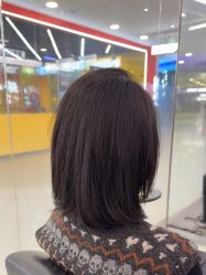 -东方麒麟·潘多拉SALON