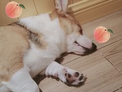 -上海颛桥万达广场