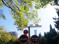 -团结湖公园