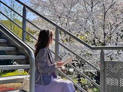 -IKEA宜家家居(南京商场)