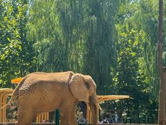 -石家庄市动物园