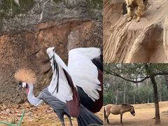 -杭州野生动物世界
