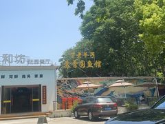 -丁老爷子苏香圆