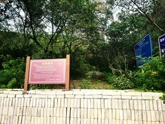 -北京十三陵国家森林公园蟒山景区