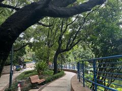 -九龙公园