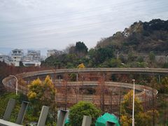 -福道