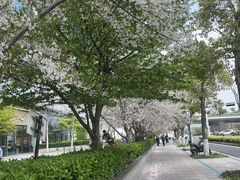 -菩提会所·足道·SPA(苏州中心店)