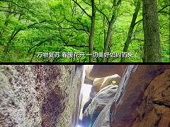 -鲁山国家森林公园