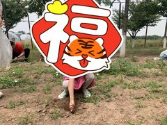 -美吉姆早教(高新中心)
