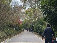 -南京市江宁方山