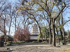 -大慈恩寺(大雁塔)