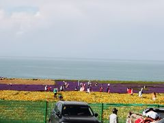 -青海湖国家重点风景名胜区